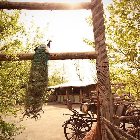 Bamboo Lodge フローニンゲン エクステリア 写真